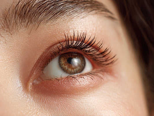 大手集客サイトTOP (EYE)