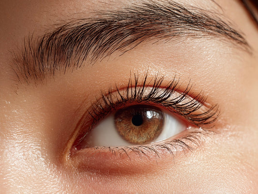 大手集客サイトTOP (EYE)